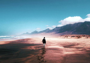 PA20° DP22 Standard Gear Hob Cutter with BPⅡ