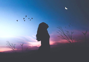 ?PA20° PCD 75mm Disk Type Gear Shaper Cutter with Module m1~m4